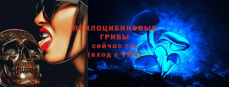 Галлюциногенные грибы Magic Shrooms  Высоковск 